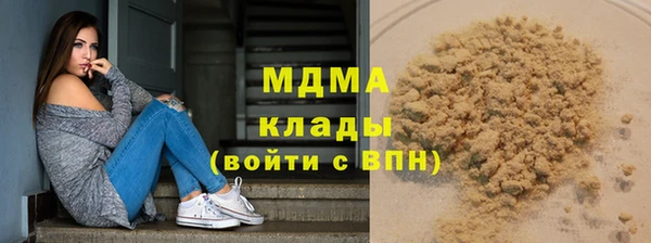 прущие грибы Аркадак