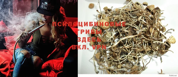 прущая мука Белокуриха