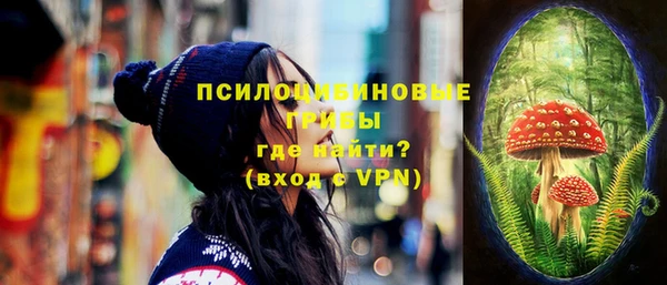 винт Богородицк