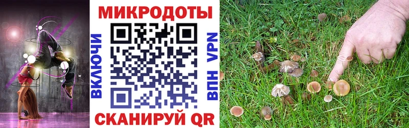 kraken рабочий сайт  Пятигорск  Галлюциногенные грибы прущие грибы  где продают  